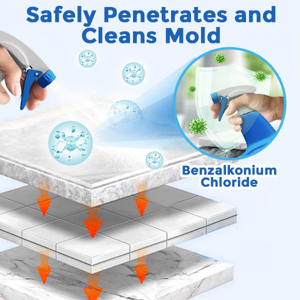flysmus® Super Clean Mold & Mildew Stain Remover
